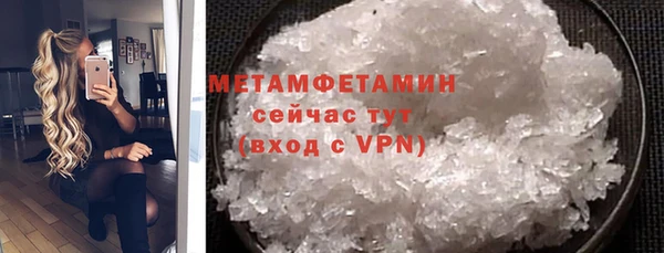 амф Гусь-Хрустальный