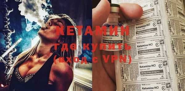 амф Гусь-Хрустальный