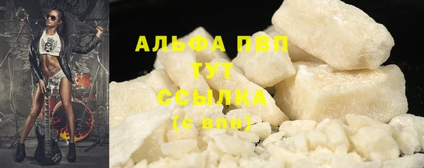 амф Гусь-Хрустальный
