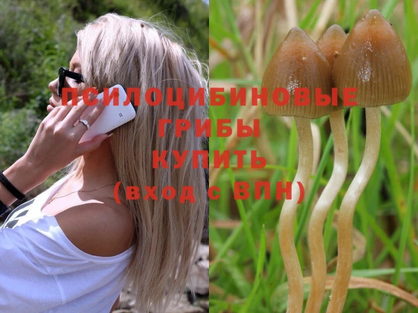 spice Гусев