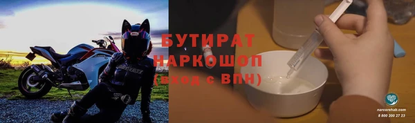 амф Гусь-Хрустальный