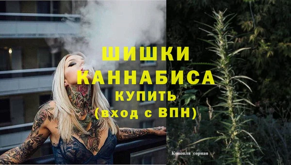 spice Гусев