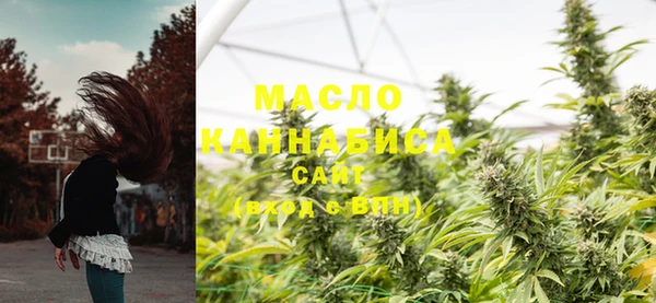 амф Гусь-Хрустальный