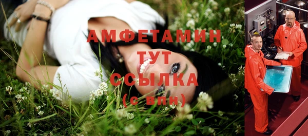 амф Гусь-Хрустальный