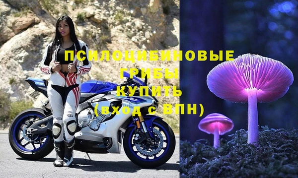 амф Гусь-Хрустальный