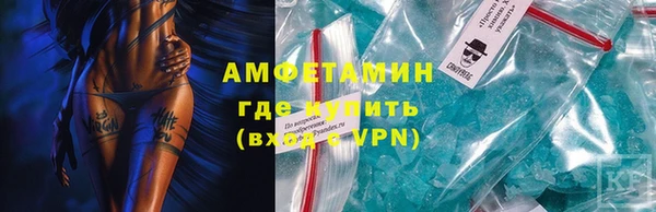 амф Гусь-Хрустальный